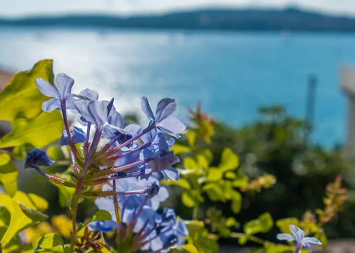 More Διαμέρισμα *